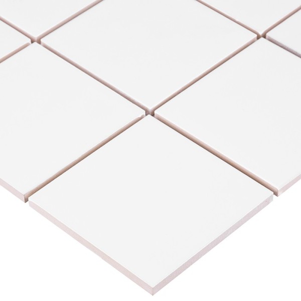 C-WH01 PŁYTKA DUNIN 10 x 10 cm