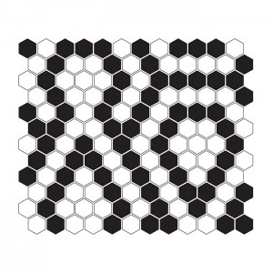 MINI HEXAGON B&W LACE...